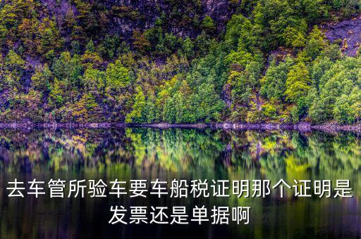 車船納稅證明是什么，車船稅證明是什么是購置稅嗎