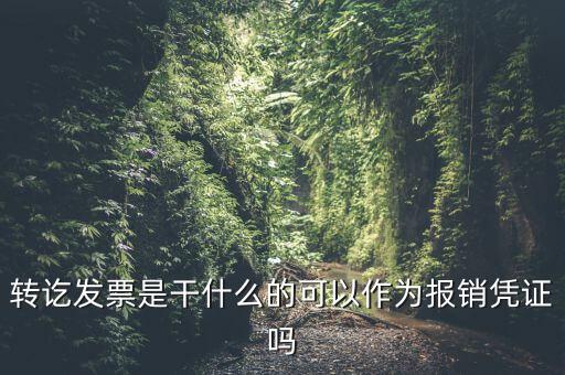 什么叫轉(zhuǎn)發(fā)票，我開了一張農(nóng)村合作信用社的轉(zhuǎn)賬發(fā)票請(qǐng)問什么是對(duì)應(yīng)發(fā)票