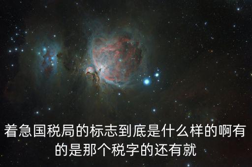 稅優(yōu)識(shí)別碼是什么樣的，納稅人辨認(rèn)號(hào)和代碼是1樣的