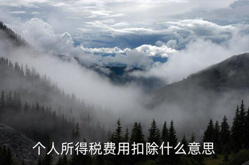 稅收扣除是什么，個(gè)人所得稅費(fèi)用扣除什么意思