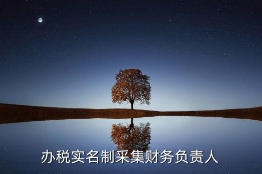 什么是實(shí)名辦稅，辦稅實(shí)名制采集財務(wù)負(fù)責(zé)人