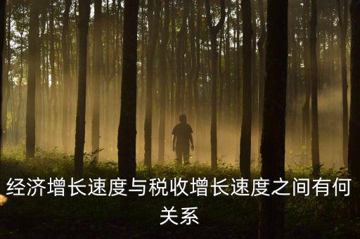 稅收增速是什么，經(jīng)濟增長速度與稅收增長速度之間有何關(guān)系