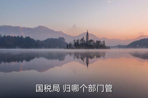 國稅直屬局管什么，國稅局 歸哪個部門管