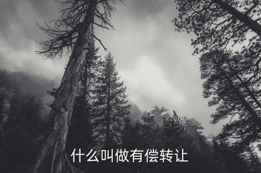 有償轉移安置什么意思，有償轉發(fā)什么意思