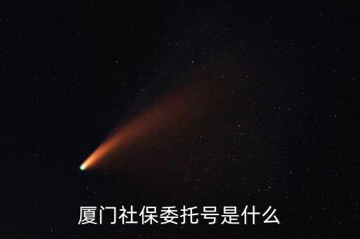 地稅社保委托號是什么，三證合一后去地稅局打社保單子說是與社保局的納稅人識別號不一