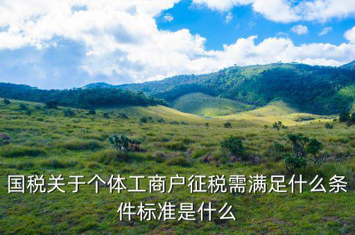國(guó)稅關(guān)于個(gè)體工商戶(hù)征稅需滿(mǎn)足什么條件標(biāo)準(zhǔn)是什么
