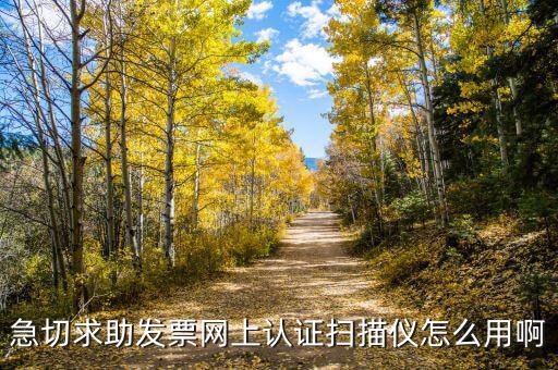CA登陸可以開什么票，京東上什么可以開增值稅專用發(fā)票