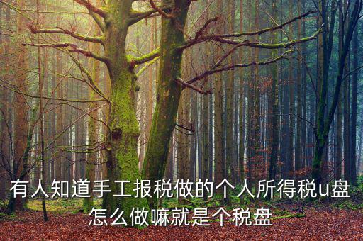 繳個(gè)稅用什么盤申報(bào)，個(gè)人所得稅報(bào)盤怎么弄
