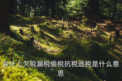 欠繳稅額是什么意思，增值稅申報表第26欄實收出口開具專用繳款書退稅額指的是什么