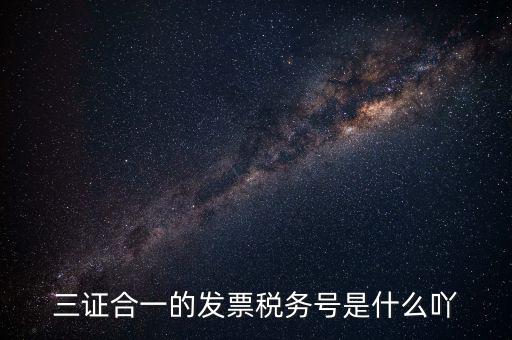 三證合一以后稅號是什么，三證合一的發(fā)票稅務(wù)號是什么吖