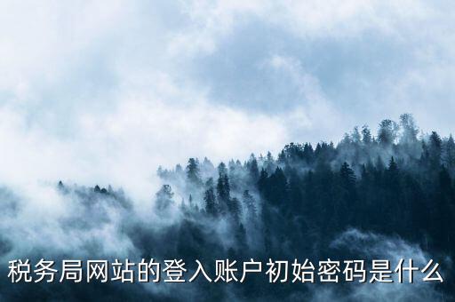 國稅網(wǎng)上登陸密碼是什么，稅務(wù)局網(wǎng)站的登入賬戶初始密碼是什么