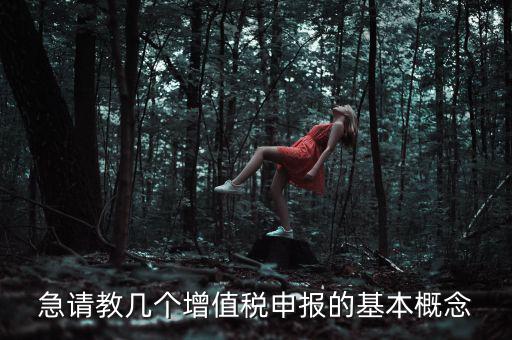 增值稅申報(bào)是什么意思，增值稅申報(bào)什么意思