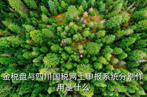 金稅盤的作用是什么，請問現(xiàn)在國稅局換的金稅盤主要的作用是什么