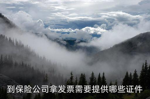 保險開專票需要什么資料，中國人壽保險打發(fā)票要什么手續(xù)
