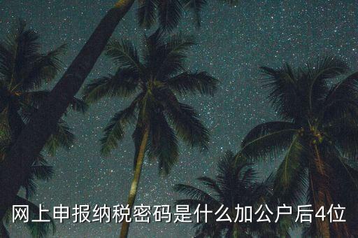 網(wǎng)上如何申報(bào)國(guó)稅密碼是什么，國(guó)稅第一次網(wǎng)上申報(bào)的登陸密碼是什么