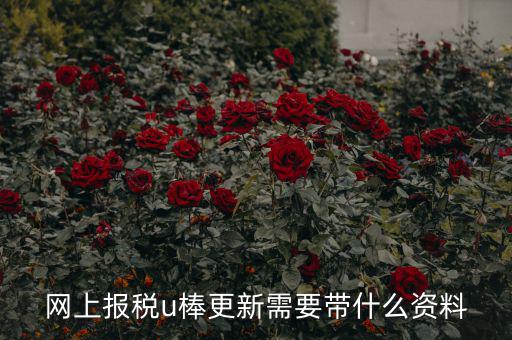 稅務(wù)u棒長什么樣，網(wǎng)上報稅u棒更新需要帶什么資料