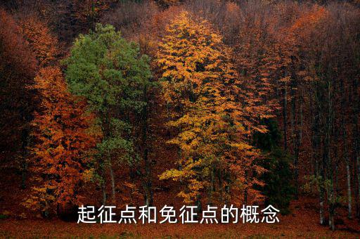 增值稅起征點(diǎn)什么意思，增值稅的起征點(diǎn)為5000元20000元是什么意思