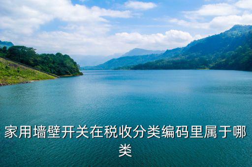 稅收分類編碼是什么意思，汽車導(dǎo)航儀稅收分類編碼是什么