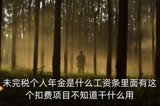 個(gè)稅年金是什么，未完稅個(gè)人年金是什么工資條里面有這個(gè)扣費(fèi)項(xiàng)目不知道干什么用