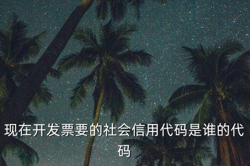 現在開發(fā)票要的社會信用代碼是誰的代碼