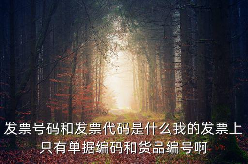 發(fā)票代碼指什么地方，增值稅普通發(fā)票的12位發(fā)票代碼在什么位置