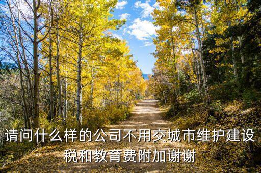 什么情況不交城建稅，什么時(shí)候不需要交納營(yíng)業(yè)稅城建稅及附加
