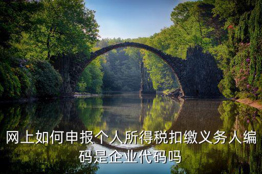 江西省個稅代扣系統(tǒng)的編碼是什么，網(wǎng)上如何申報個人所得稅扣繳義務人編碼是企業(yè)代碼嗎