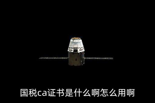 國(guó)稅的ca證書是什么意思，CA證書是什么東西包括pfx cert么