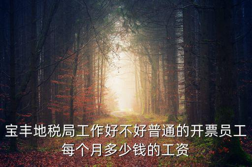 寶豐國稅局局長叫什么，寶豐三分局移動營業(yè)廳地址在哪里