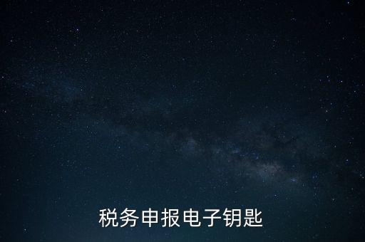 稅務申報電子鑰匙