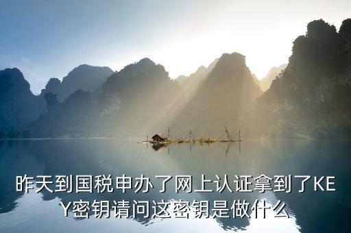金稅盤(pán)密鑰是什么，密鑰是什么
