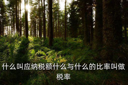 什么叫應(yīng)用稅額，各種收入等于應(yīng)用稅額除以什么