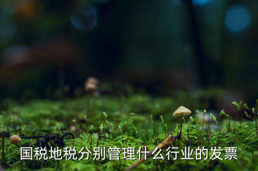 國(guó)稅地稅分別管理什么行業(yè)的發(fā)票