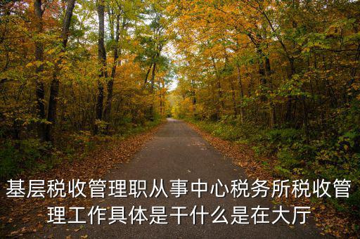稅源管理干什么，基層稅收管理職從事中心稅務(wù)所稅收管理工作具體是干什么是在大廳