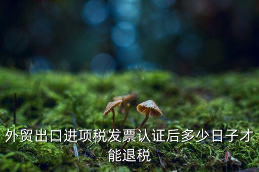 什么時候可以退稅，退稅是按進(jìn)項發(fā)票認(rèn)證的時間來退稅的