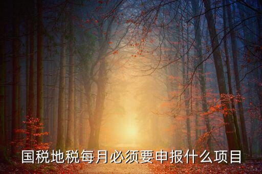 國稅月初申報(bào)什么，國稅地稅每月必須要申報(bào)什么項(xiàng)目