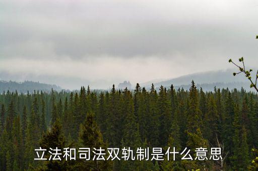 雙軌運行什么意思，雙軌運行解數(shù)字