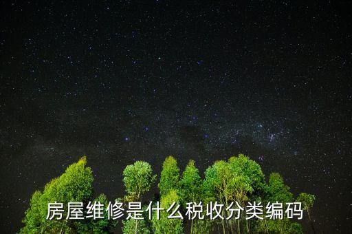 什么是稅收分類編碼，房屋維修是什么稅收分類編碼