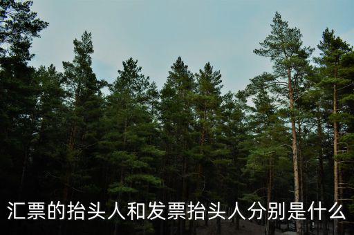 發(fā)票司稱人什么意思，匯票的抬頭人和發(fā)票抬頭人分別是什么