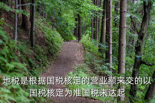地稅定稅是根據(jù)什么定的，問題國稅和地稅的定稅依據(jù)是什么