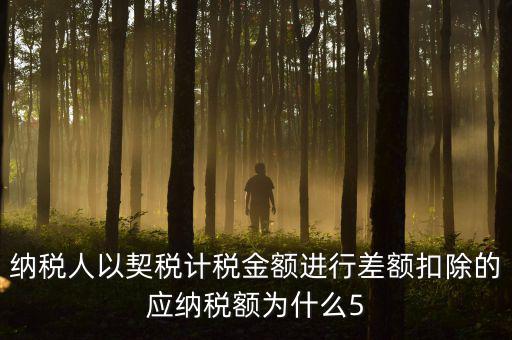 為什么 契稅 差額計稅，最新房產(chǎn)稅費
