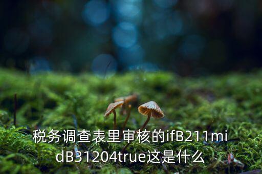 國(guó)稅調(diào)查表有什么意義，國(guó)稅要求地址普查的目的是什么