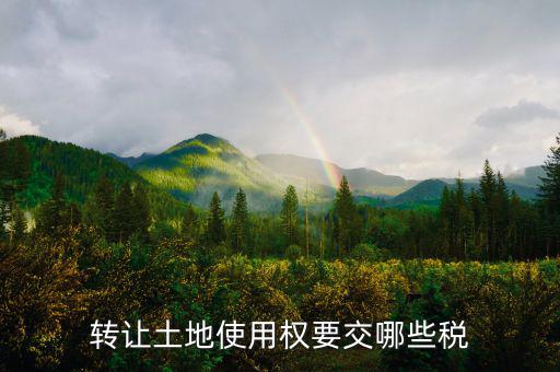 轉(zhuǎn)讓土地使用權(quán)要交什么稅，轉(zhuǎn)讓土地使用權(quán)要交哪些稅