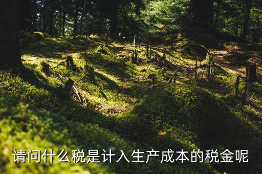 什么稅計入成本，請問什么稅是計入生產(chǎn)成本的稅金呢