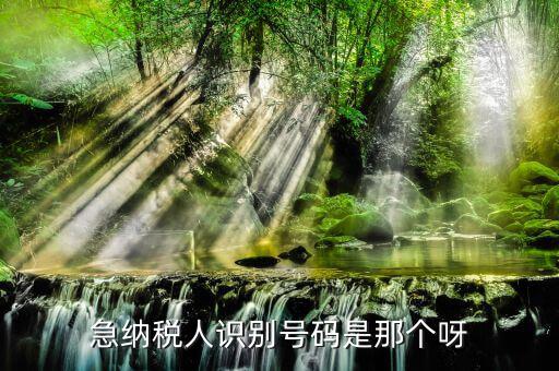 納稅人識別卡是什么，一般納稅人的IC卡的型號中JK100和JK300有什么區(qū)別