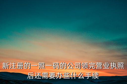 新注冊的一照一碼的公司領(lǐng)完營業(yè)執(zhí)照后還需要辦些什么手續(xù)