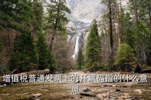 增值票的開票碼是什么意思，增值稅普通發(fā)票上的開票碼指的什么意思