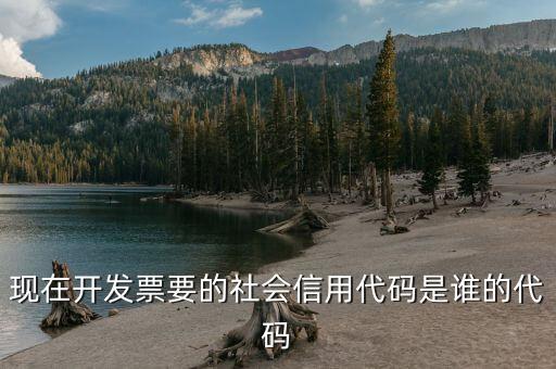 發(fā)票上有社會信用代碼是什么，現(xiàn)在開發(fā)票要的社會信用代碼是誰的代碼
