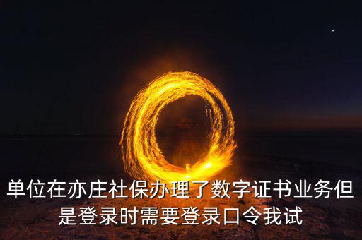 數(shù)字證書(shū)口令是什么，數(shù)字證書(shū)與口令卡是一回事嗎
