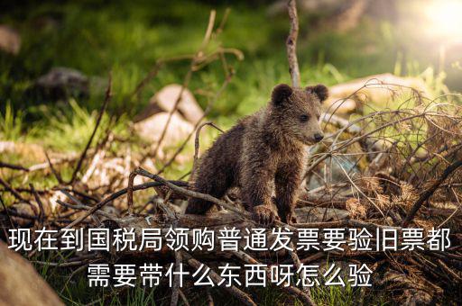 發(fā)票驗(yàn)舊都需要帶什么，現(xiàn)在到國(guó)稅局領(lǐng)購(gòu)普通發(fā)票要驗(yàn)舊票都需要帶什么東西呀怎么驗(yàn)